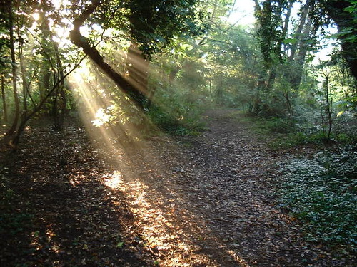 Worried about the environment, it's nature and wildlife.
There is no planet B