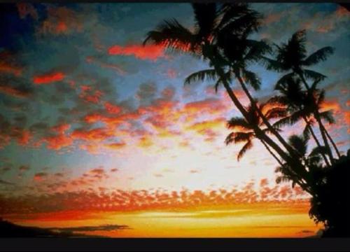 mary_kalkam808's profile picture. Enjoying the joys of life, beaches, good music, and good vibes!!  Originally from Hawaii, now living in SoCal, I'm just enjoying the ride!