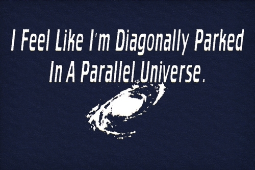 inparallelunive's profile picture. have you every thought that there could be a parallel universe and a complete opposite of you? 
fallow me, i fallow back ;)