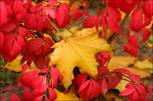 CarmenFandino1's profile picture. Deep love for languages and travel. All I need is new adventures.