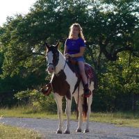 starbaro's profile picture. Owner/Breeder of Texas-bred horses