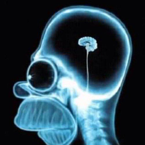 psilky220's profile picture. bikes bikes and a little more bikes