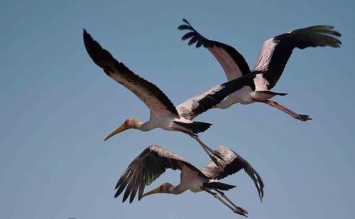 kenedyndaro's profile picture. complicated