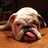 Michael McCroskey (@mikemccroskey) 's Twitter Profile Photo