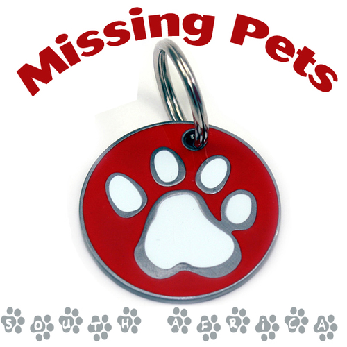 Nothing worse than losing your beloved pet. Please NETWORK to help reunite owners with their fur-babies.