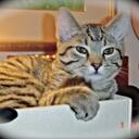 bailey westbrook - @momsmad - Twitter