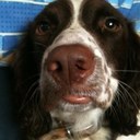 Frances - @FrancesFlorence - Twitter