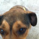 Ellen weaver - @elle_weaver - Twitter