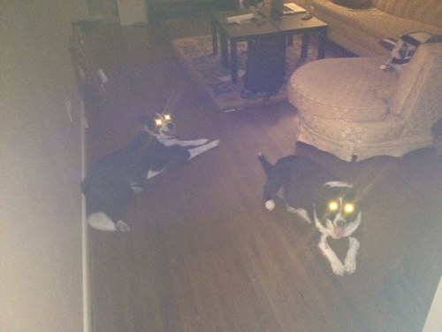 beevee2012's profile picture. 