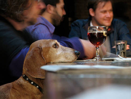 Drinker of Beer. Writer of Stuff. BBQ, Kitchen Trolling, Pop Culture, and Delaware Beer. Firmly team dog. What did we do to deserve pizza? #FlyEaglesFly