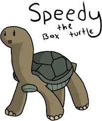 SpeedyTheTurtl3's profile picture. 