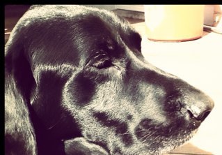 slowness18's profile picture. 