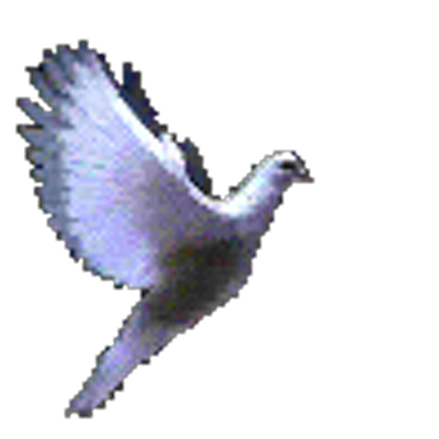 Mudik Mudik2 Twitter