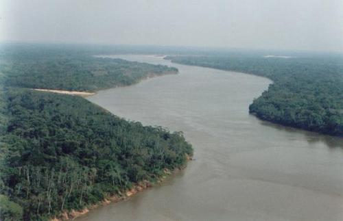 marcy_pires's profile picture. 