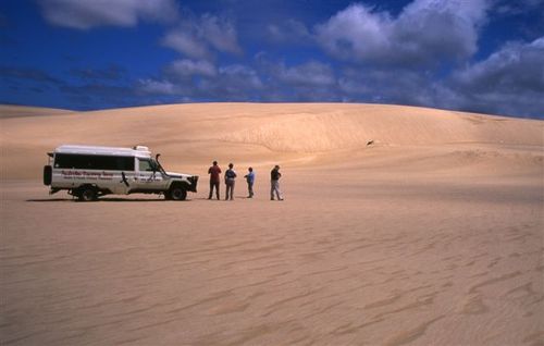 Pemberton Discovery Tours is a certified Ecotour visiting the National Parks in the southwest corner of Western Australia in the popular tourist town Pemberton