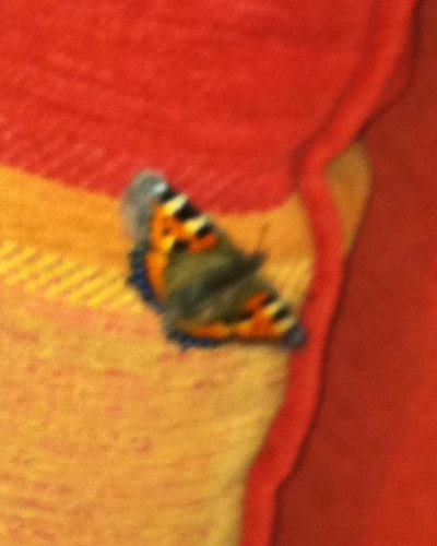 johnkellymusic's profile picture. Musician. I usually follow back but will always follow back if you tweet me. Fanmail/Media: johnkellymusicinc@gmail.com