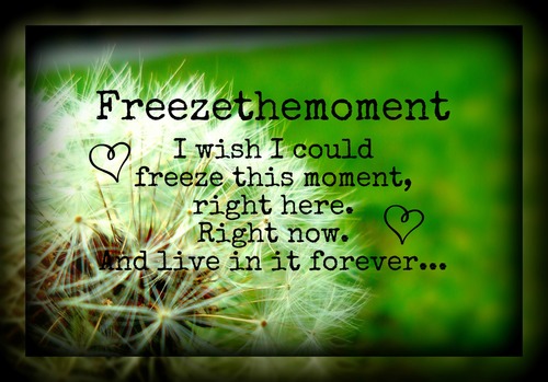 Freezingmoment1's profile picture. Hi! most of you know me as Freezethemoment on fanfiction.net.....I decided to set up a twitter so I can communicate better with each and every one of you!