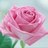 parby55's profile image