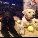 Kimberly Castner - @KimberlyCastner - Twitter