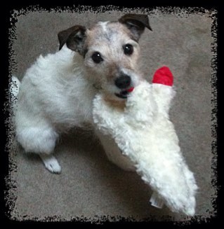 BfrantzFrantz's profile picture. 