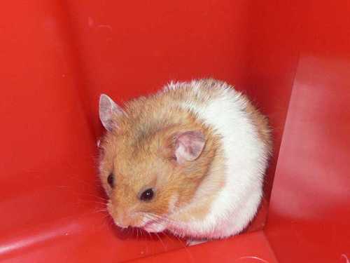 brooks_derek's profile picture. A person