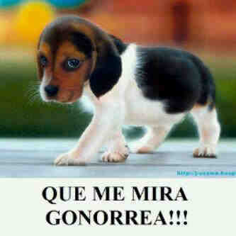 galactikmayor's profile picture. 