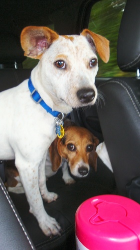 H_Harrington_01's profile picture. 