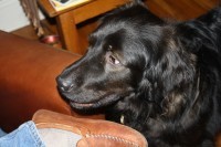 kirbymdr's profile picture. 