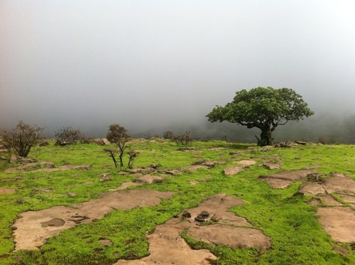 ghazlan_9's profile picture. عذرًا لمن لآ أعجبهم  ف مهارة ذو الوجهين لآ ( آتقنها )...