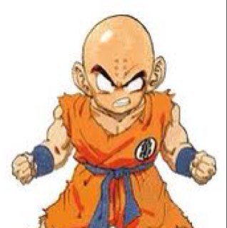 Hi, I'm Krillin! I'm a member of the Z Fighters, and I'm quite prone to death. (RPer [freakin love it!!], will follow back)