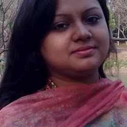Software Developer