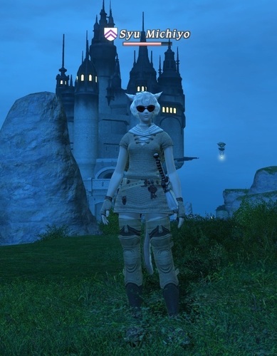 Syu Michiyo is my FFXIV character on the Masamune server.  Tweets are adventuring notes before the coming of the seventh umbral era!