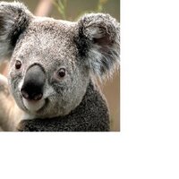 Julia breen (@jbreeno1) 's Twitter Profile Photo Julia breen (@jbreeno1) 's Twitter Profile Photo