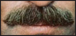 I am Tom Selleck's mustache. Technically Tom is my human, but people have a hard time with that.