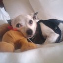 Laura Reichenbach - @LauraBachLa - Twitter