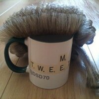 Wig on a mug(@DSD70) 's Twitter Profile Photo