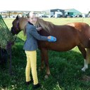 Ellie Daniel :) - @Elliedaniel02 - Twitter