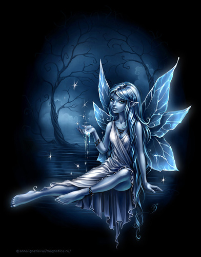 fraseschoni's profile picture. 