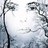 meshoresho's profile image