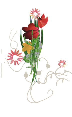 tantrakoeln's profile picture. Tantra-Massagen für Köln, Bonn, Düsseldorf, NRW