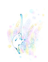 mutsuki_c's profile picture. ものすごくマイペースに更新中。。。 学生で吹奏楽部でＴｐをやってます。 創作関連など呟き中(｡･ω･｡) love→創作さいと様/漫画小説全般(雑食)/ファンタジー/空/言葉///