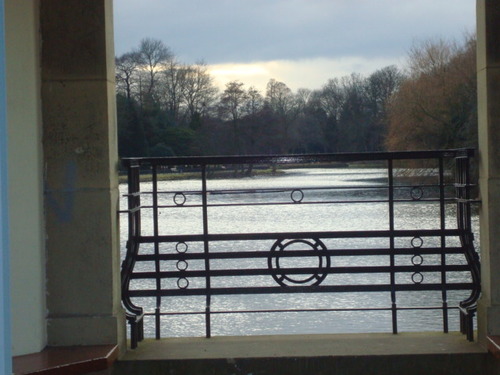 ronshah999's profile picture. 