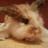 molli_22's profile image