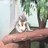 816natu's profile image