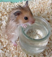 BibieOhio's profile picture. Hi!! i LOVE the band perry, country music and ice creams;)) also the vamp.diaries, smileys, and friendship:)
and Yeah it's me on the profile pic^^lol