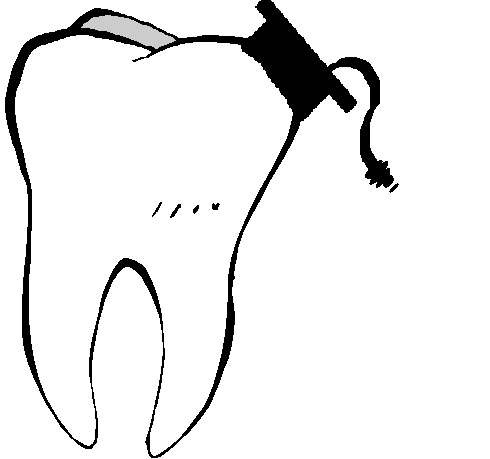 dentmelb's profile picture. Melbourne Dental Students' Society