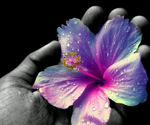 meedo490's profile picture. 