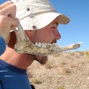 Michael Lundell - @mjlundell - Twitter