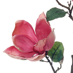 Webshop met een prachtige collectie zijden bloemen en kunstbloemen. Tevens verhuur en verkoop van zijden bloemdecoraties.