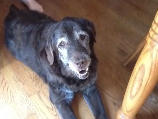 Jimbomcgrath's profile picture. shut up and go to work